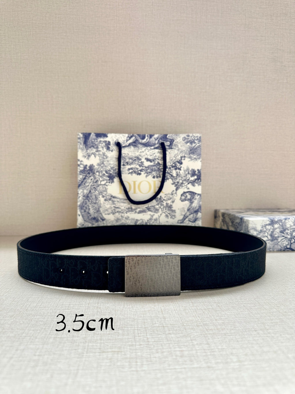 Dior belt with dark leather strap and silver rectangular buckle, flat lay.