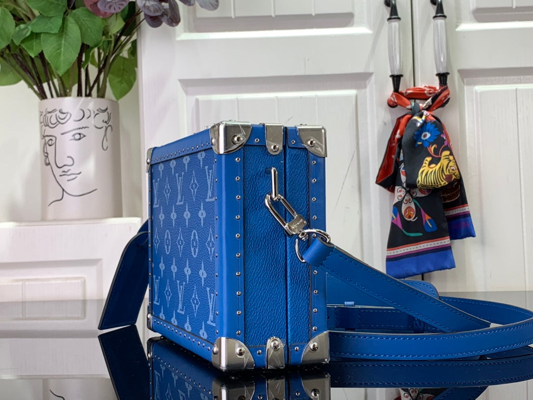 Louis Vuitton Bags