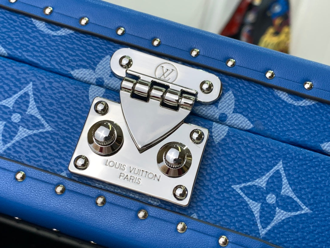 Louis Vuitton Bags
