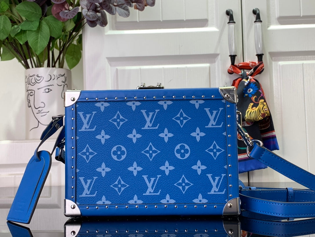 Louis Vuitton Bags
