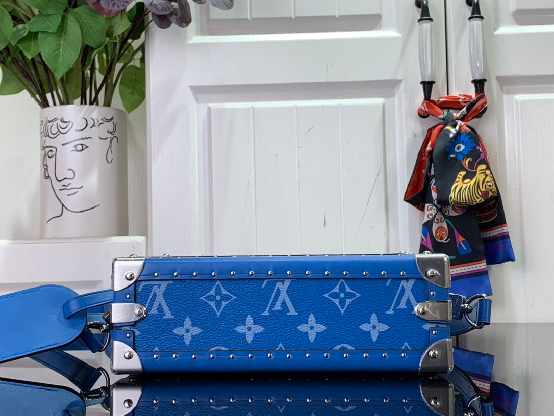 Louis Vuitton Bags