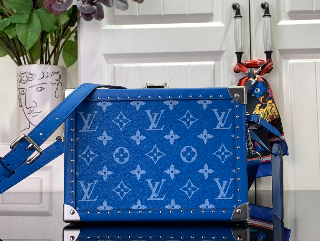 Louis Vuitton Bags