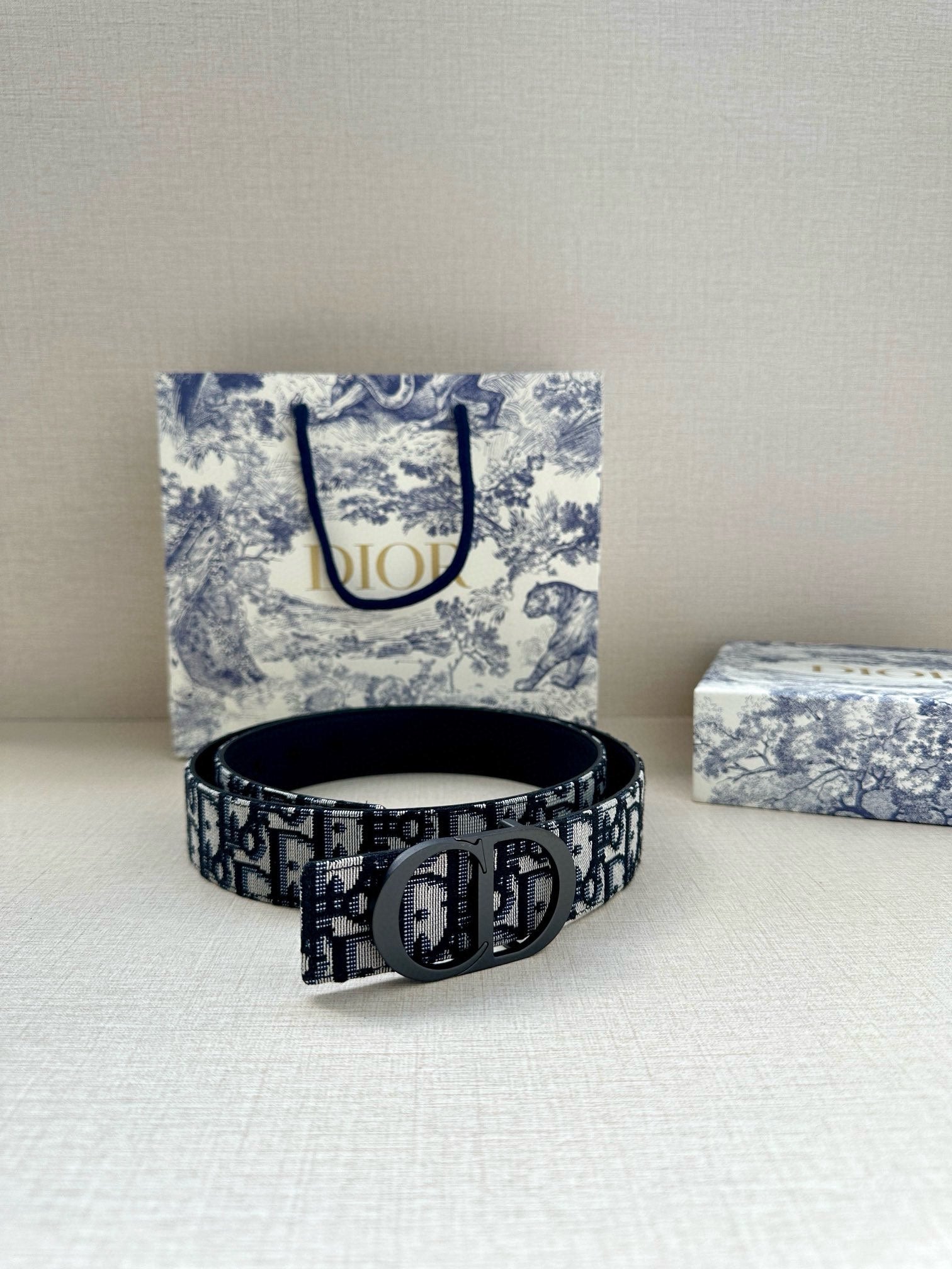 Dior Belt