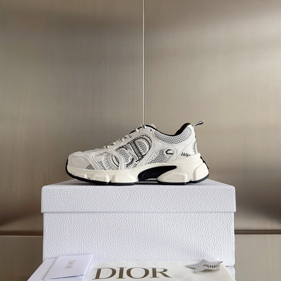 Luxury Shoes Dior Unisex