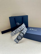 Monogram belt with wide blue-gray patterned strap and oval buckle on boxes