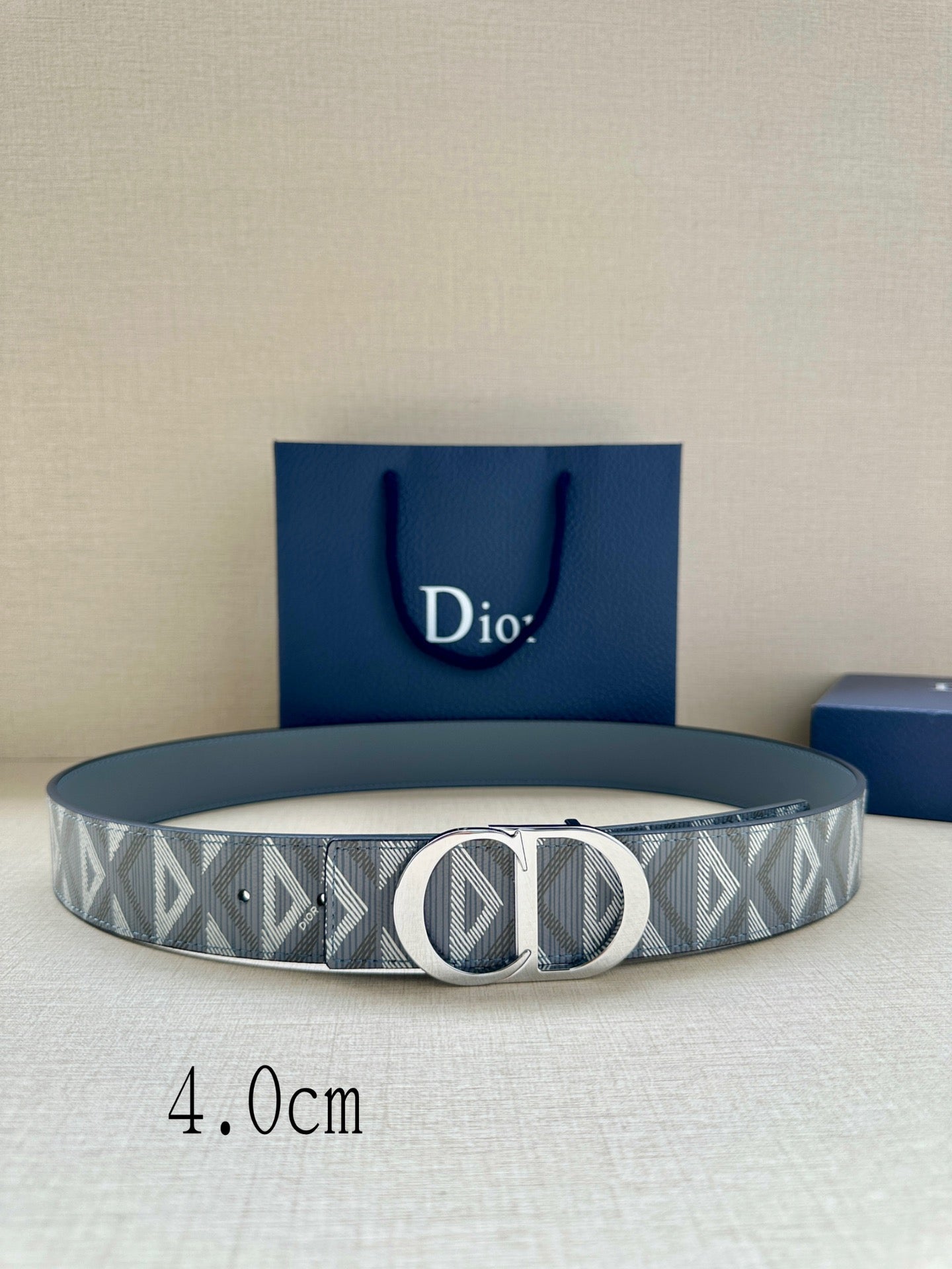 Dior belt with gray geometric strap and round logo buckle, textured leather