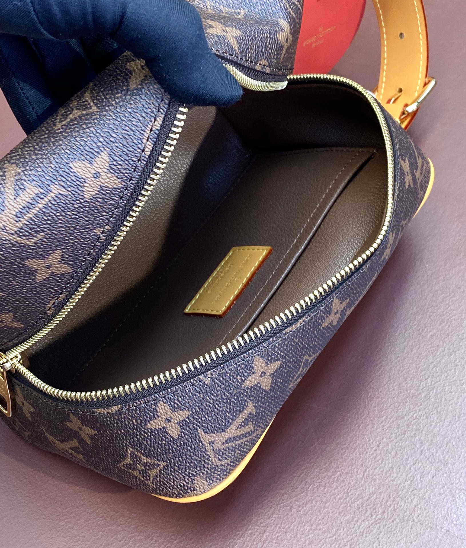 Louis Vuitton bag interior close-up with brown lining, zipper, and small leather patch