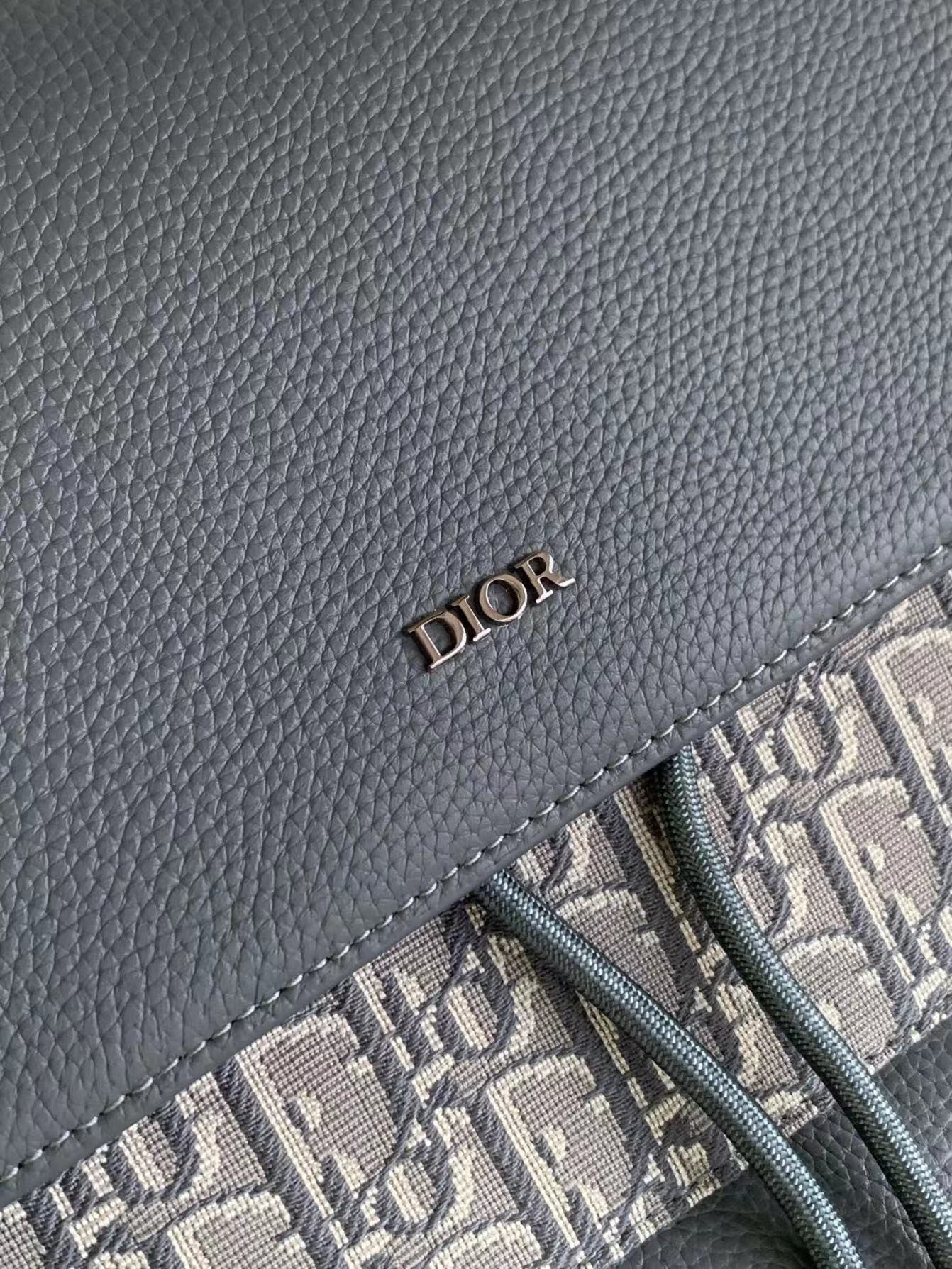 Dior bag close-up of gray leather panel with Dior logo and Dior Oblique lining