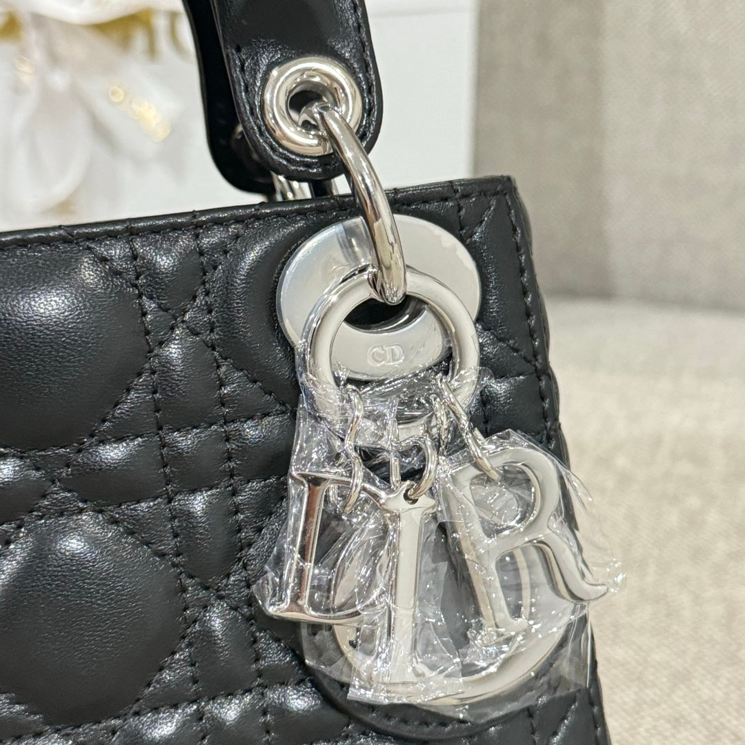 Dior Bags