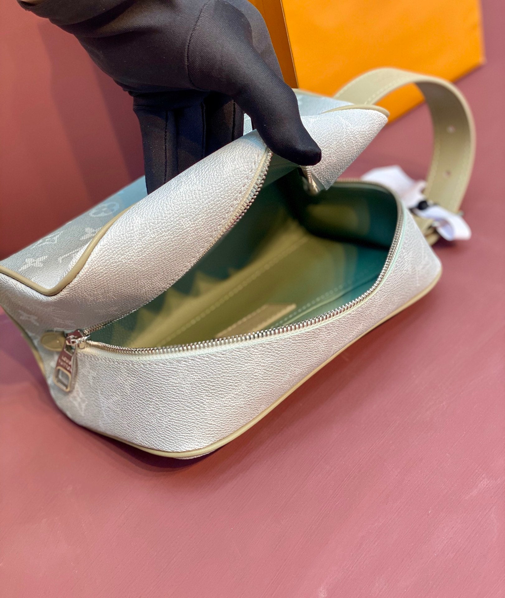 Louis Vuitton Bags
