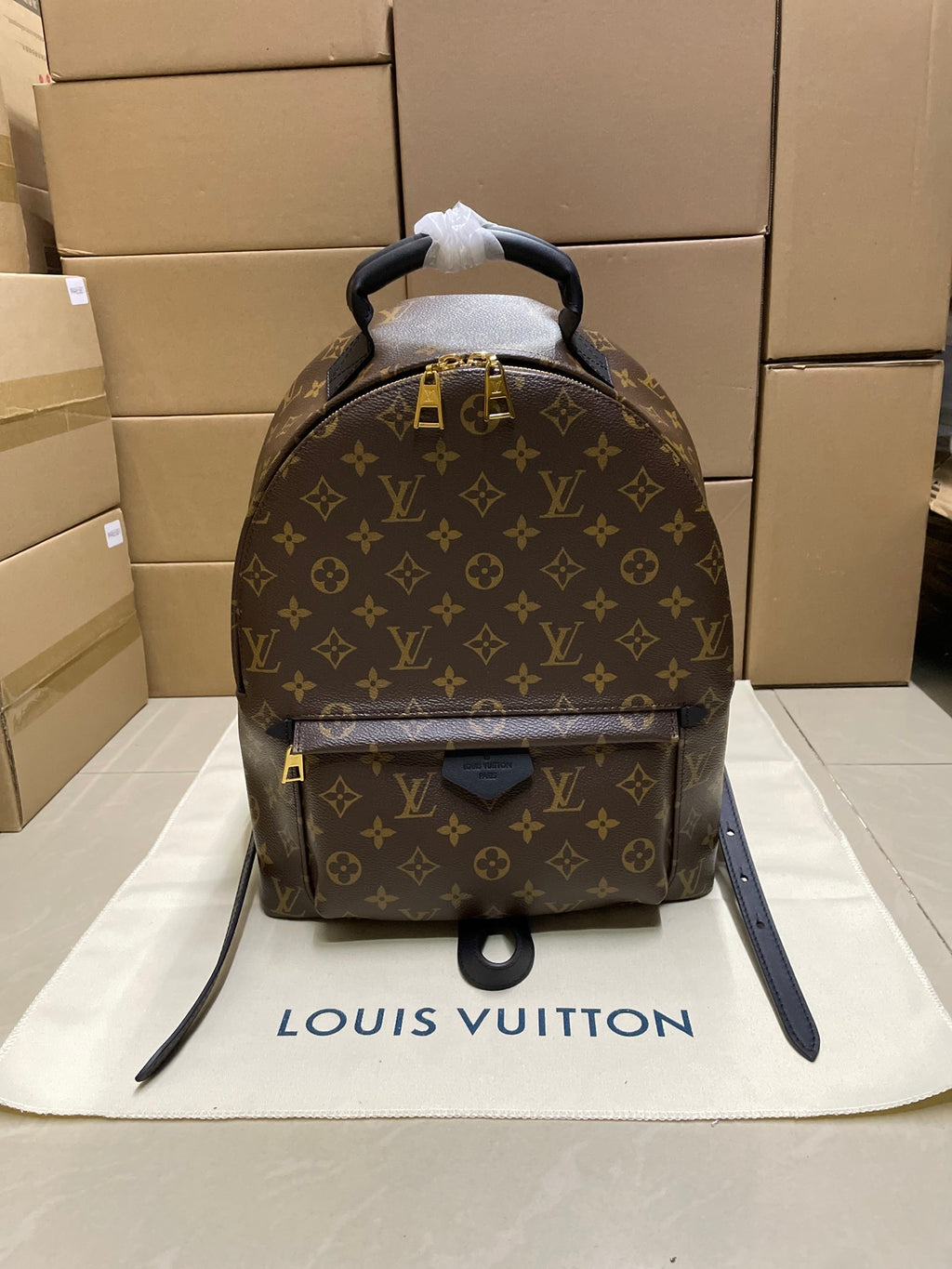 Monogram canvas backpack with top handle, gold hardware and front flap pocket