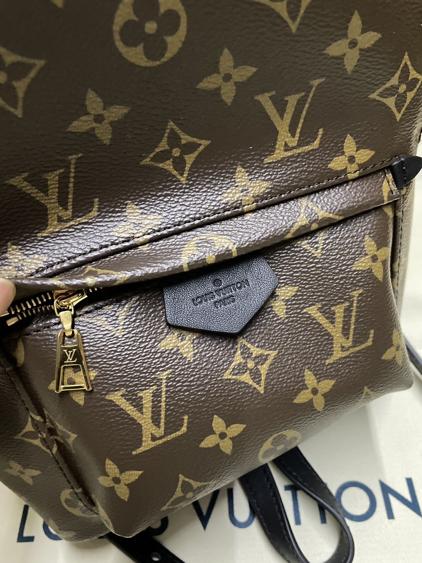 Louis Vuitton monogram mini bag with front flap and gold-tone zipper hardware