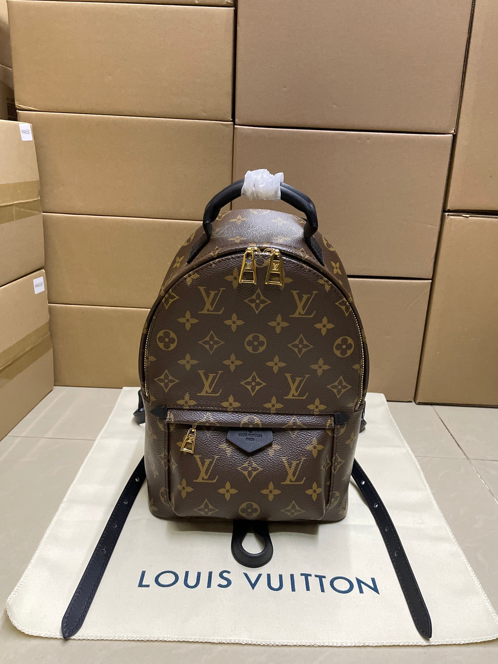 Monogram mini backpack in dark brown with black leather trim and dual top handles