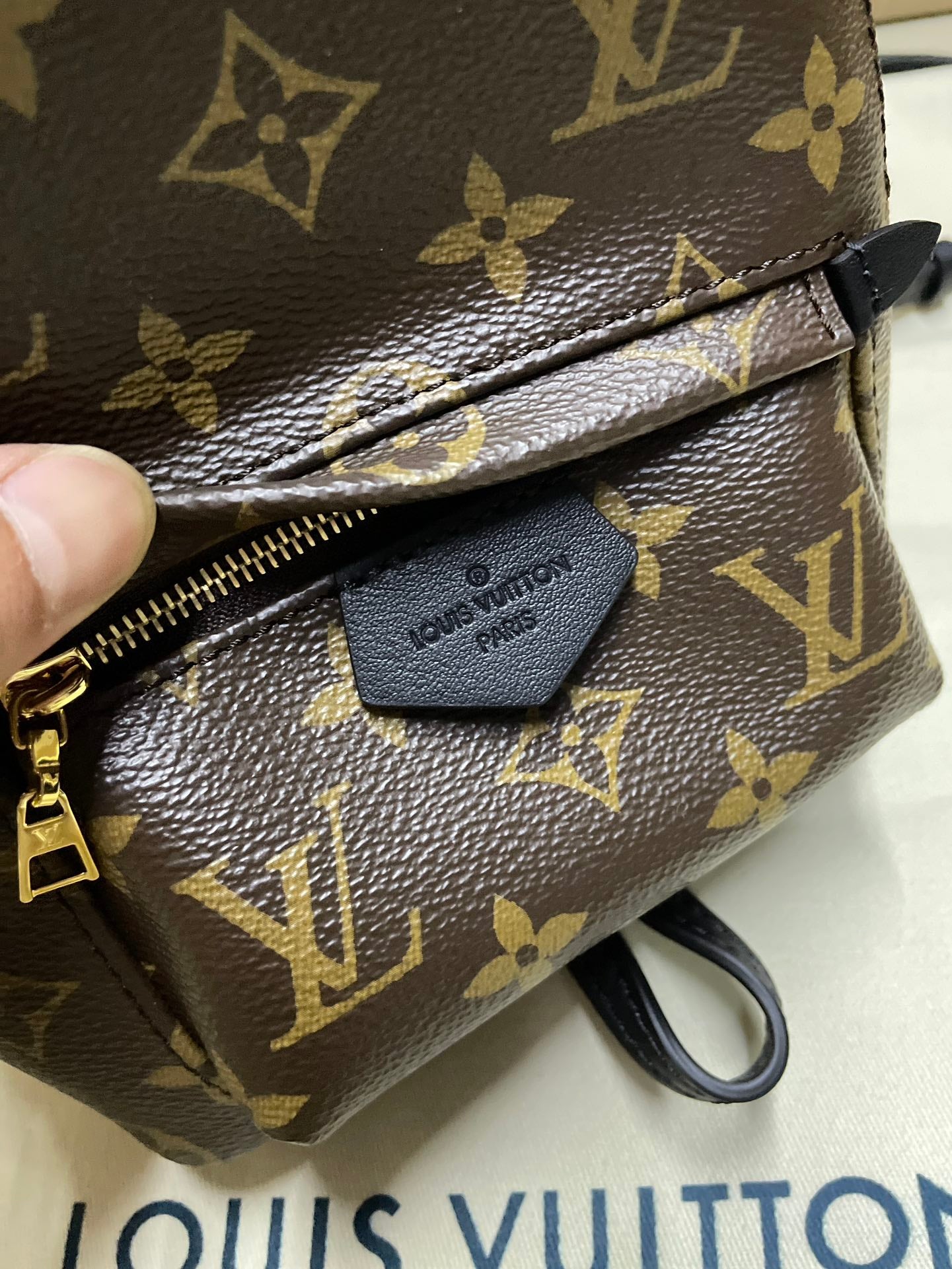 Louis Vuitton monogram mini backpack close-up of zipper and interior card holder, brown