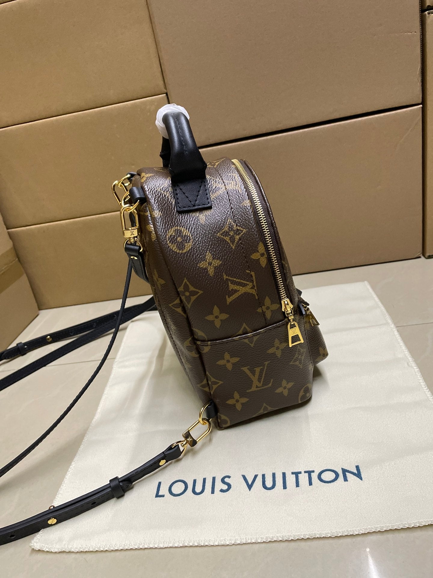 Louis Vuitton monogram mini backpack with side zipper pocket and adjustable strap, brown