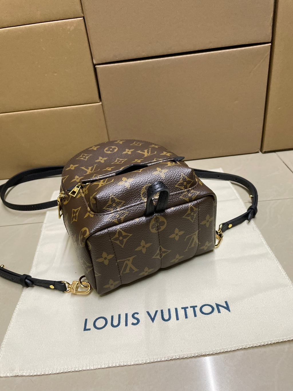 Louis Vuitton monogram mini backpack with curved shoulder strap and top handle, brown