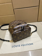Louis Vuitton monogram mini backpack with curved shoulder strap and top handle, brown
