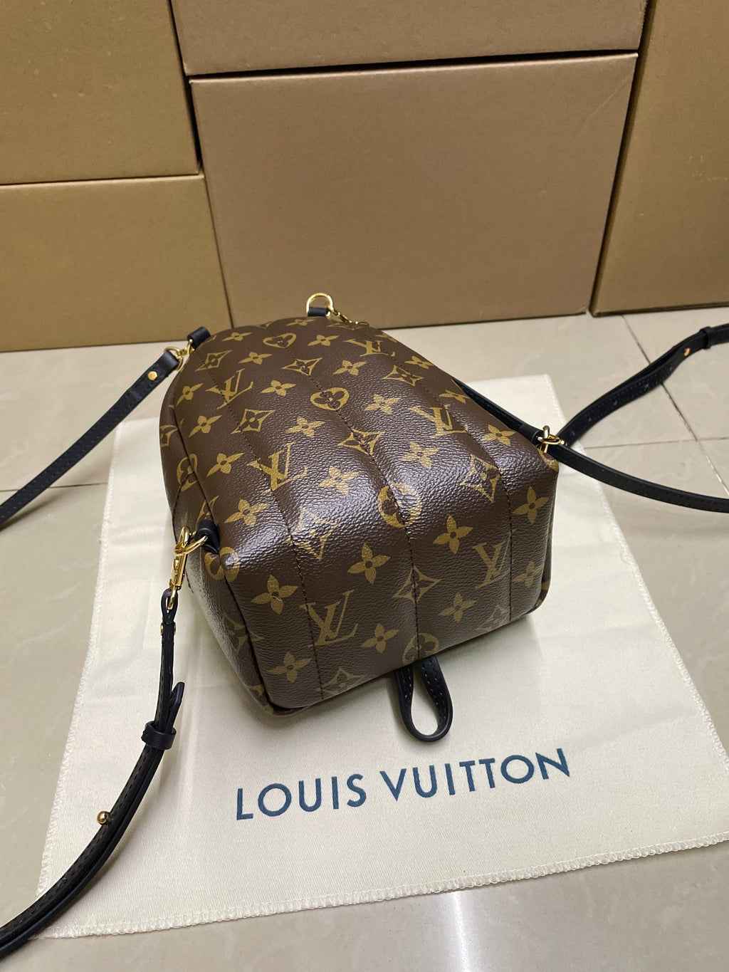Louis Vuitton monogram mini backpack front view with adjustable crossbody strap, brown