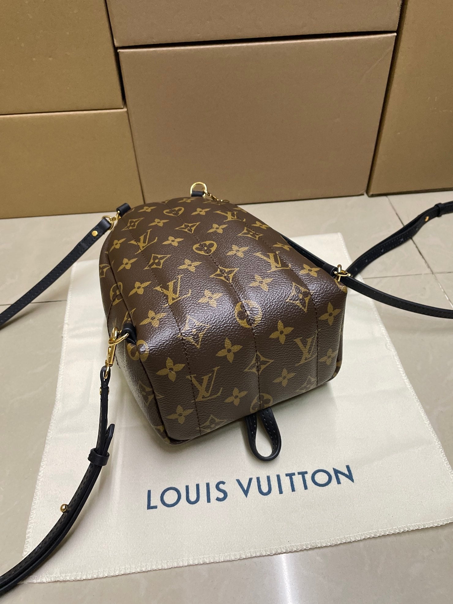 Monogram mini backpack bag on display with crossbody strap and gold-tone accents