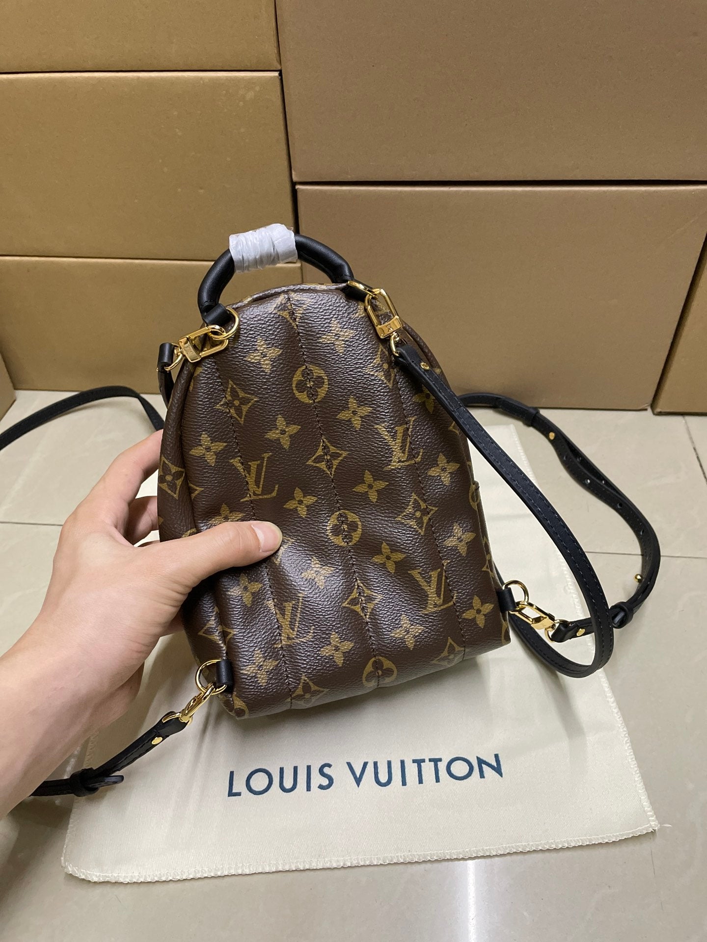 Louis Vuitton monogram mini backpack with crossbody strap and gold-tone hardware, brown
