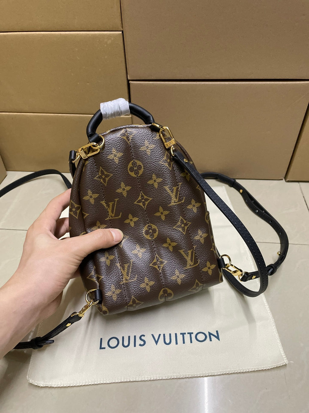Monogram mini backpack bag held in hand, with gold-tone hardware and shoulder strap