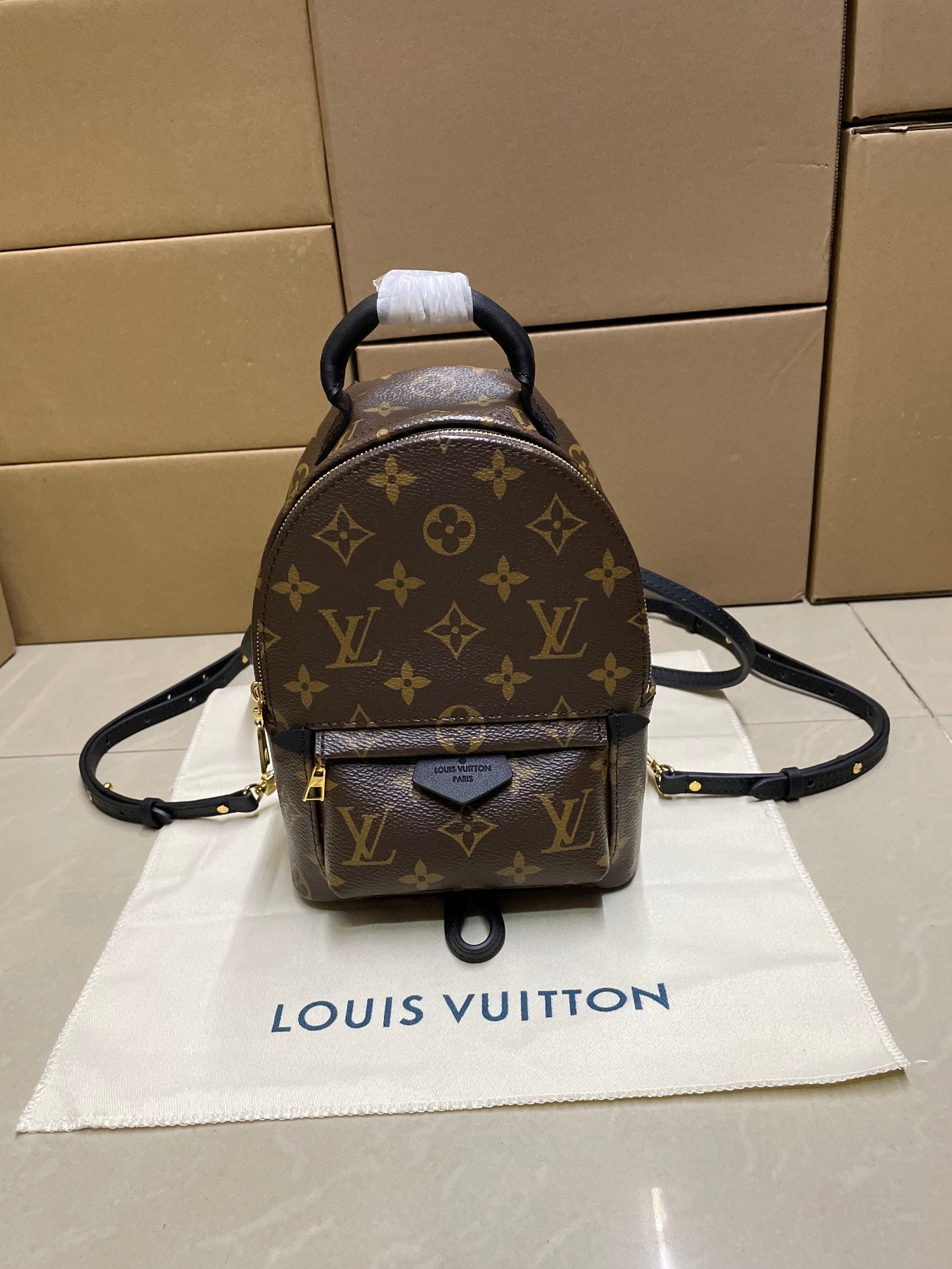 Louis Vuitton monogram mini backpack with top handle and front flap pocket, brown