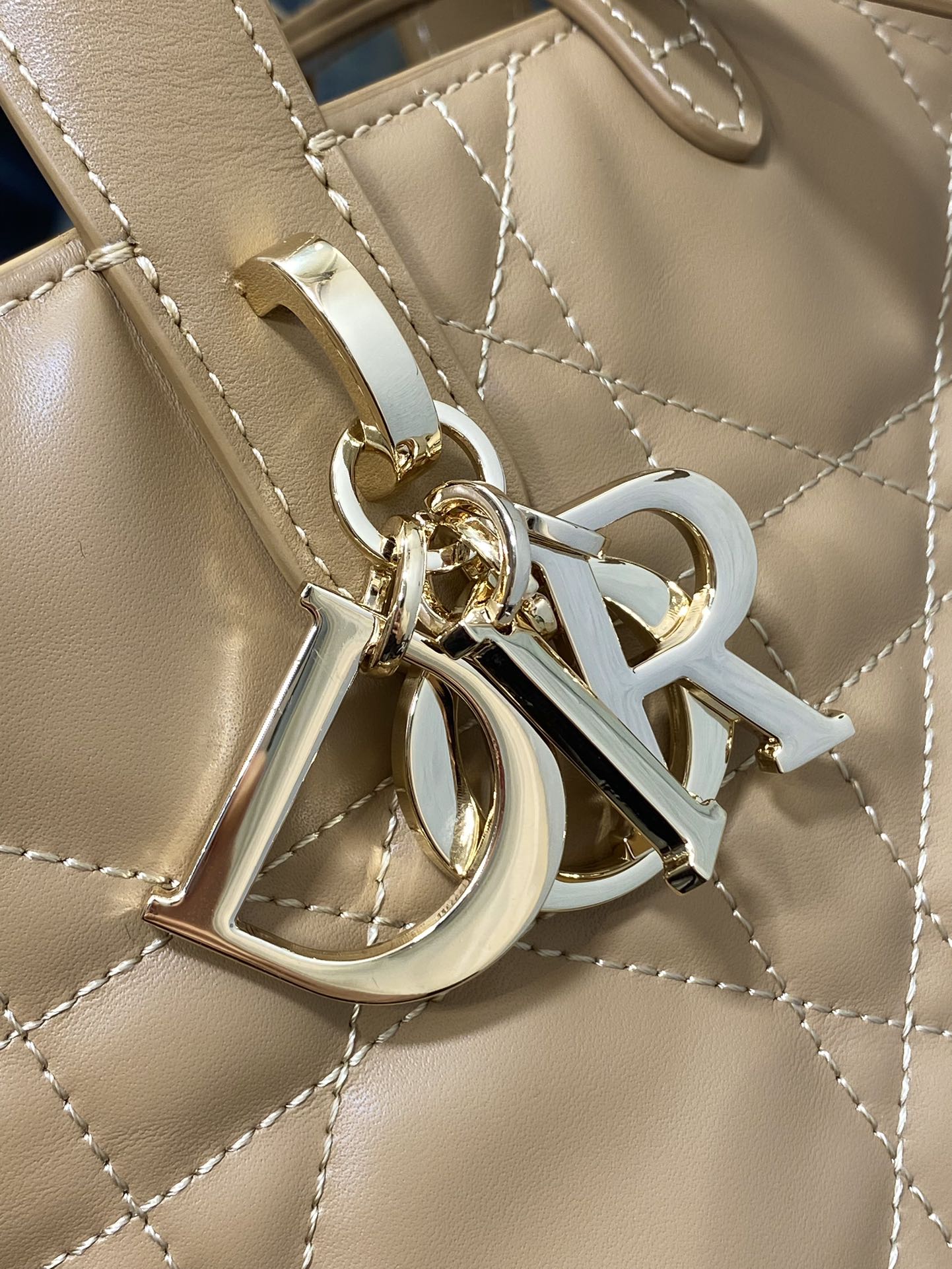 Dior handbag logo hardware detail with metal rings and strap attachment