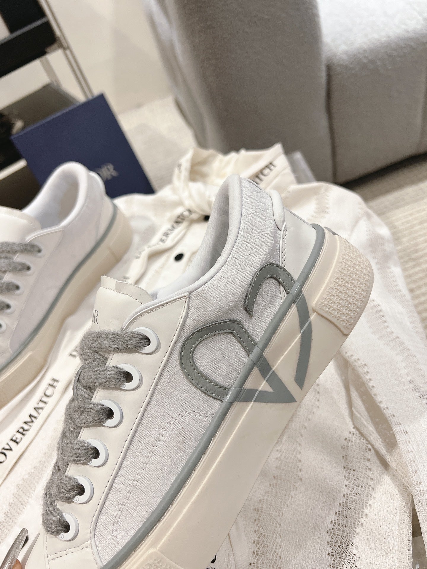 Low-top Dior sneakers, side view with gray V logo and lace-up vamp