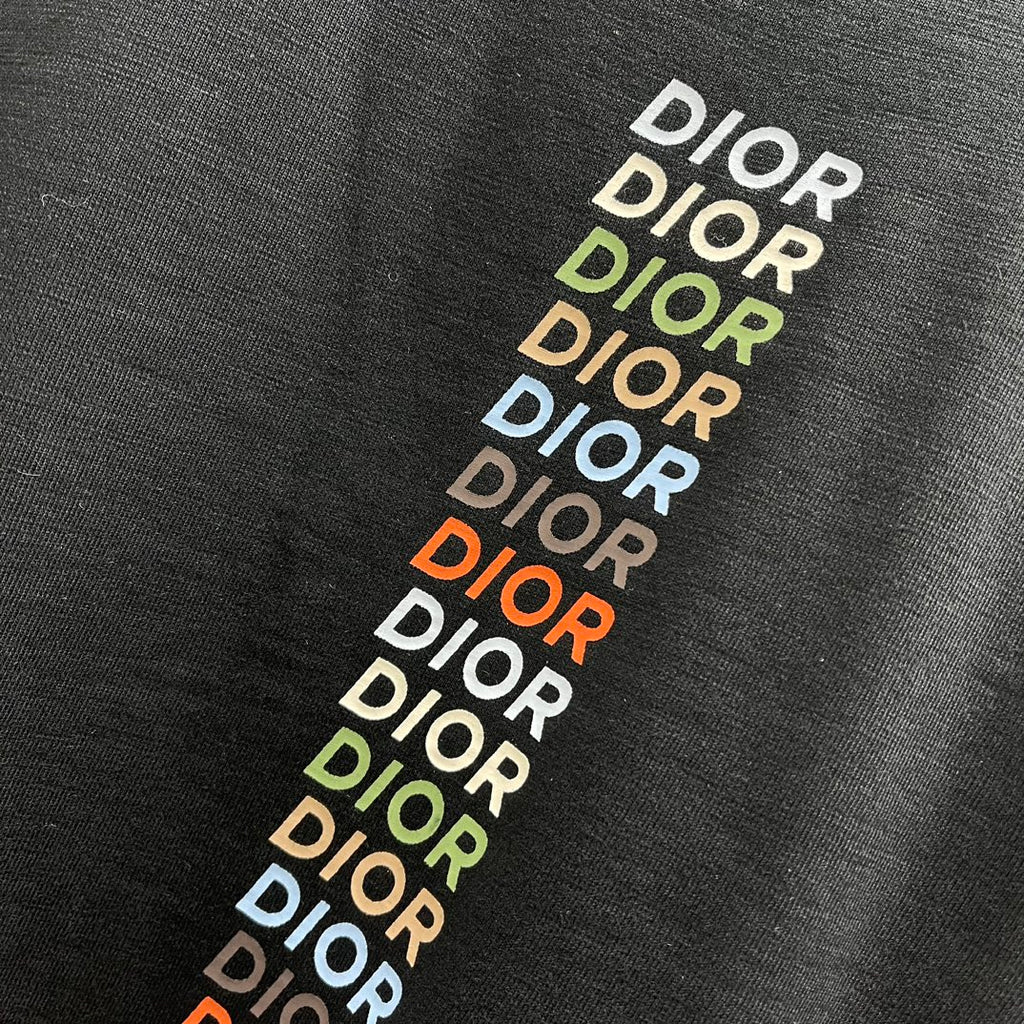 Black T-shirt with multi-color Dior logo vertical print on chest