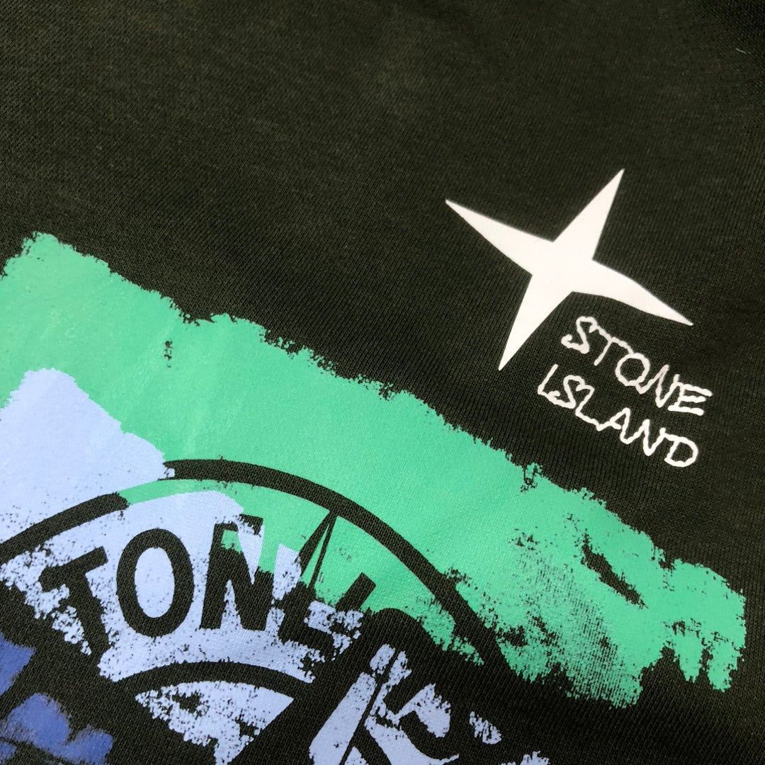 Stone Island green shorts with turquoise, white, and black logo graphic
