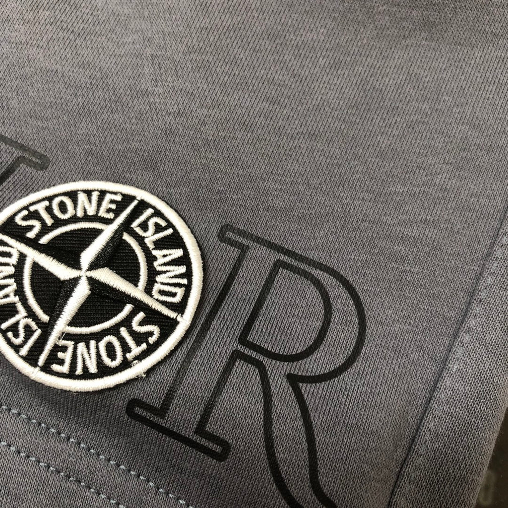 Gray shorts close-up of circular Stone Island badge and dark logo lettering