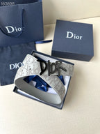 Dior belt in box: light gray patterned strap with black Dior buckle