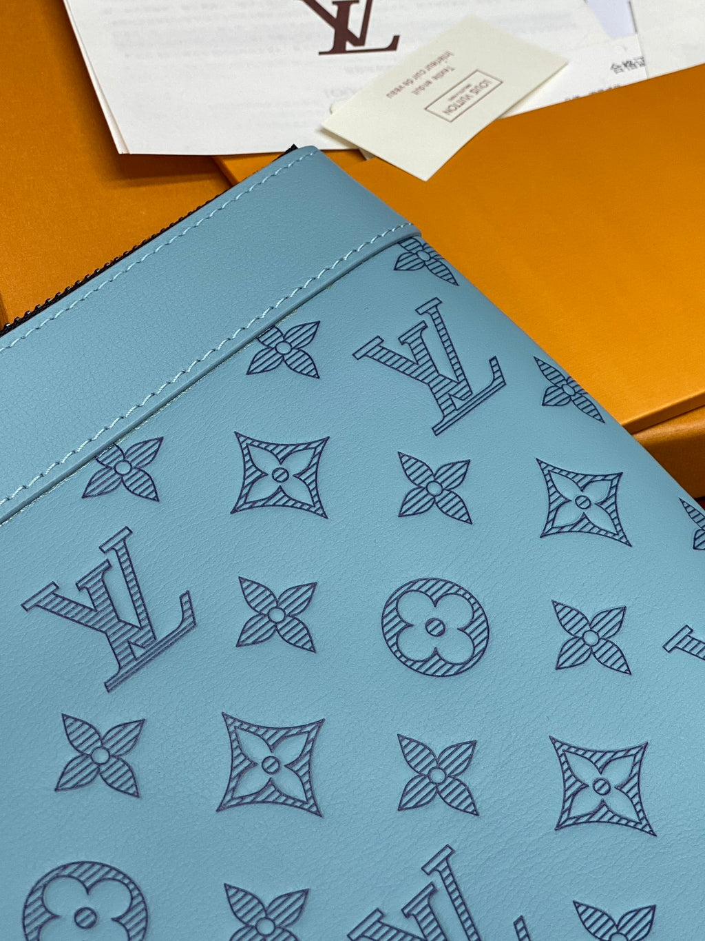 Louis Vuitton Bags