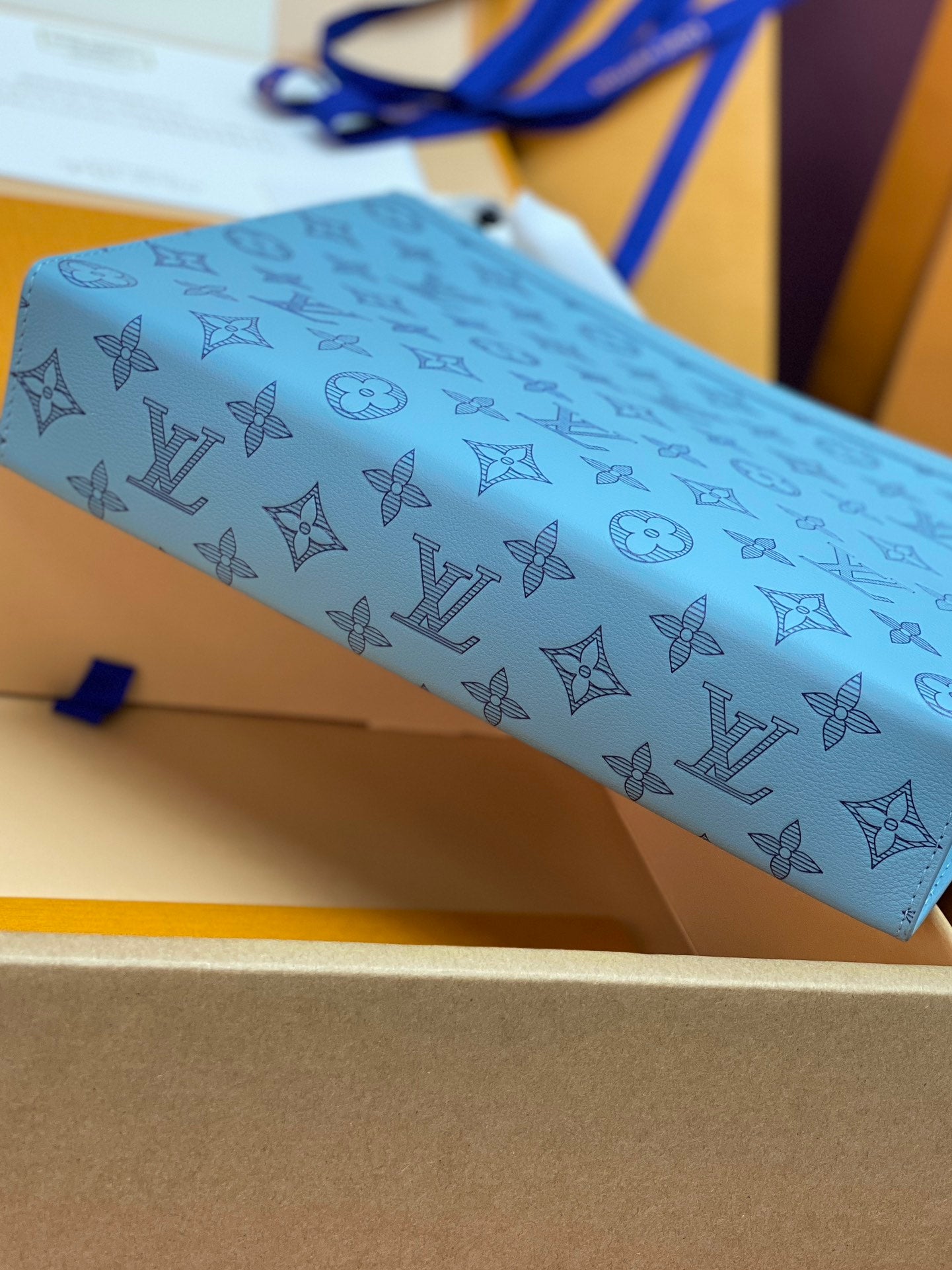 Louis Vuitton Bags