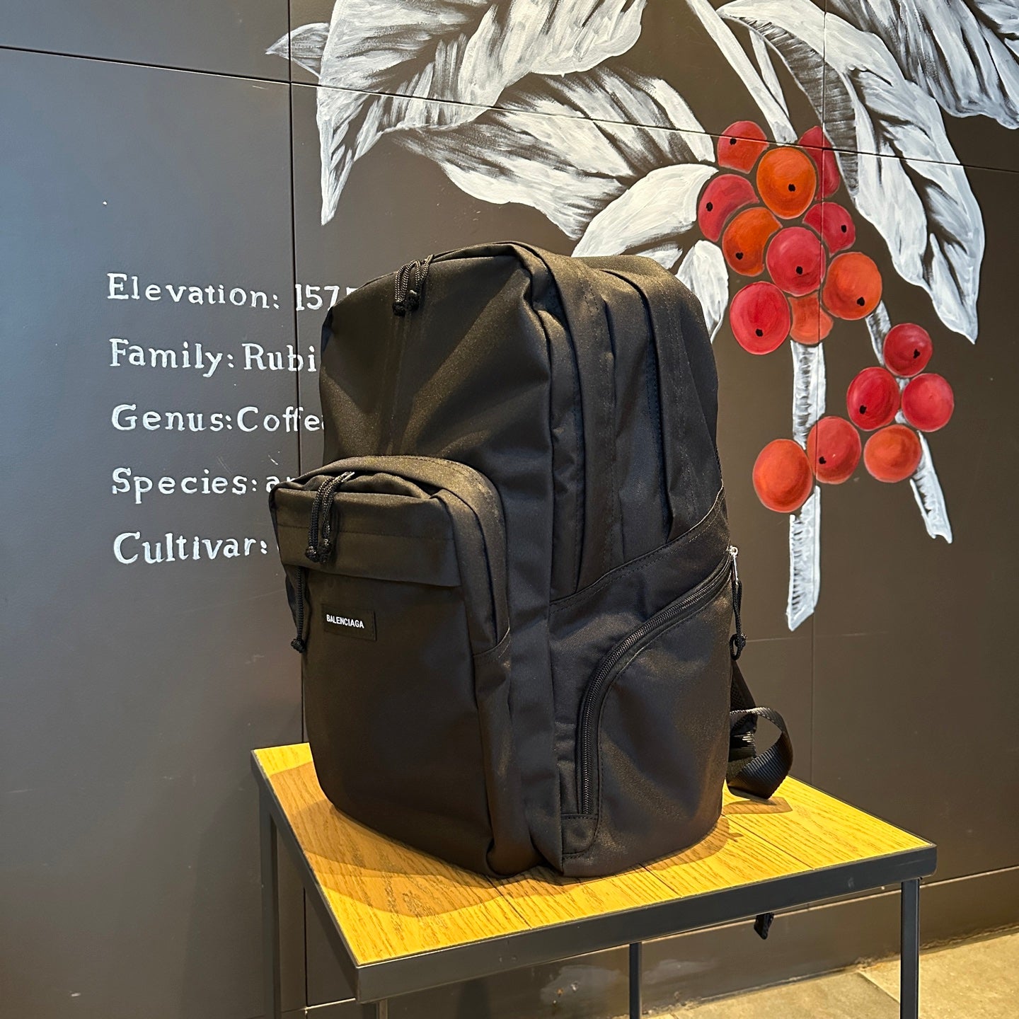 Balenciaga Bags