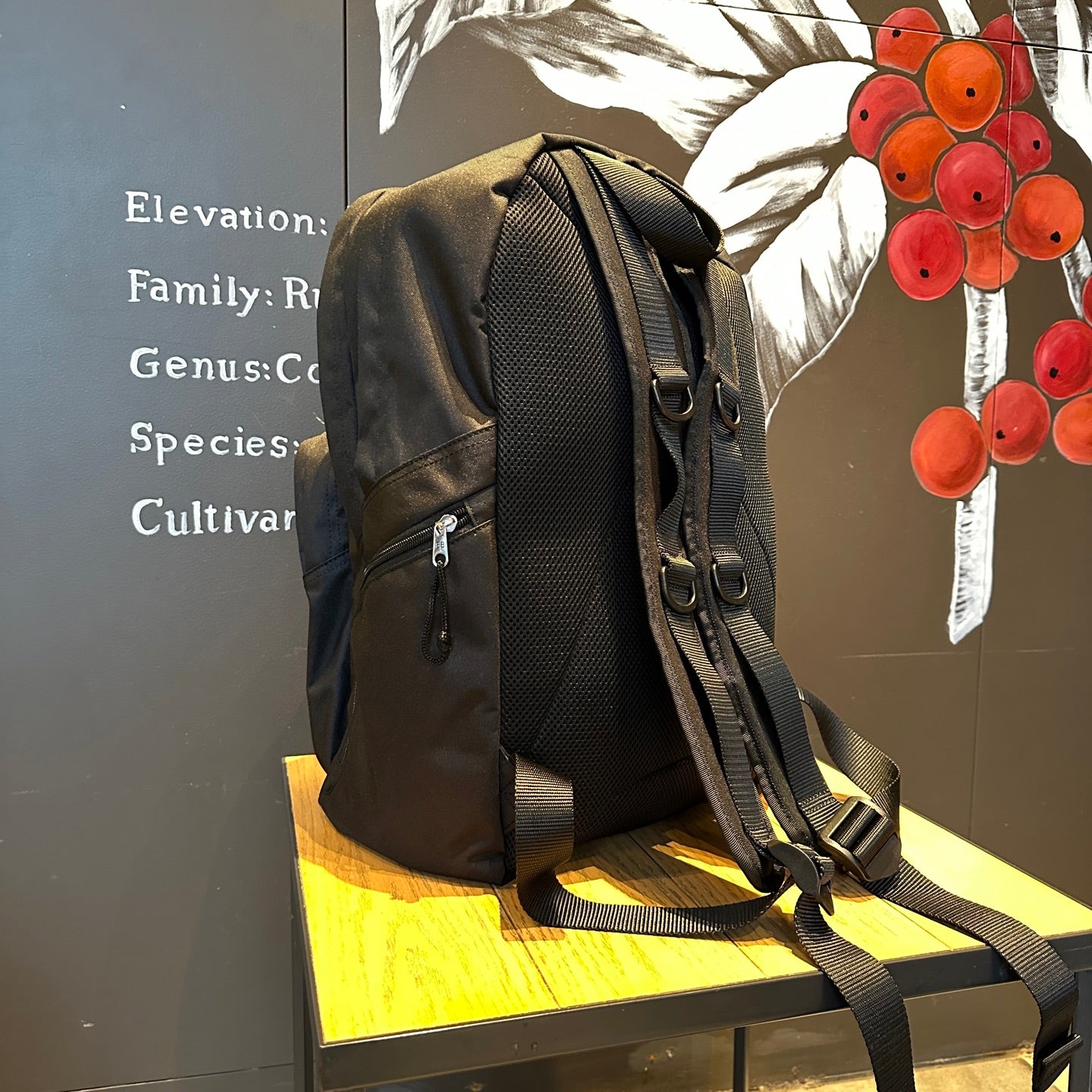 Balenciaga Bags