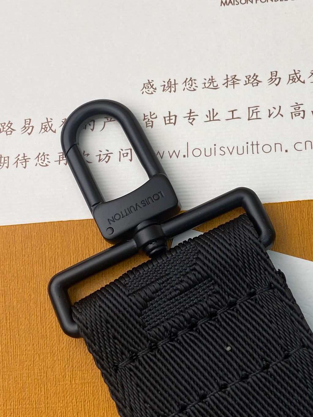 Louis Vuitton Bags