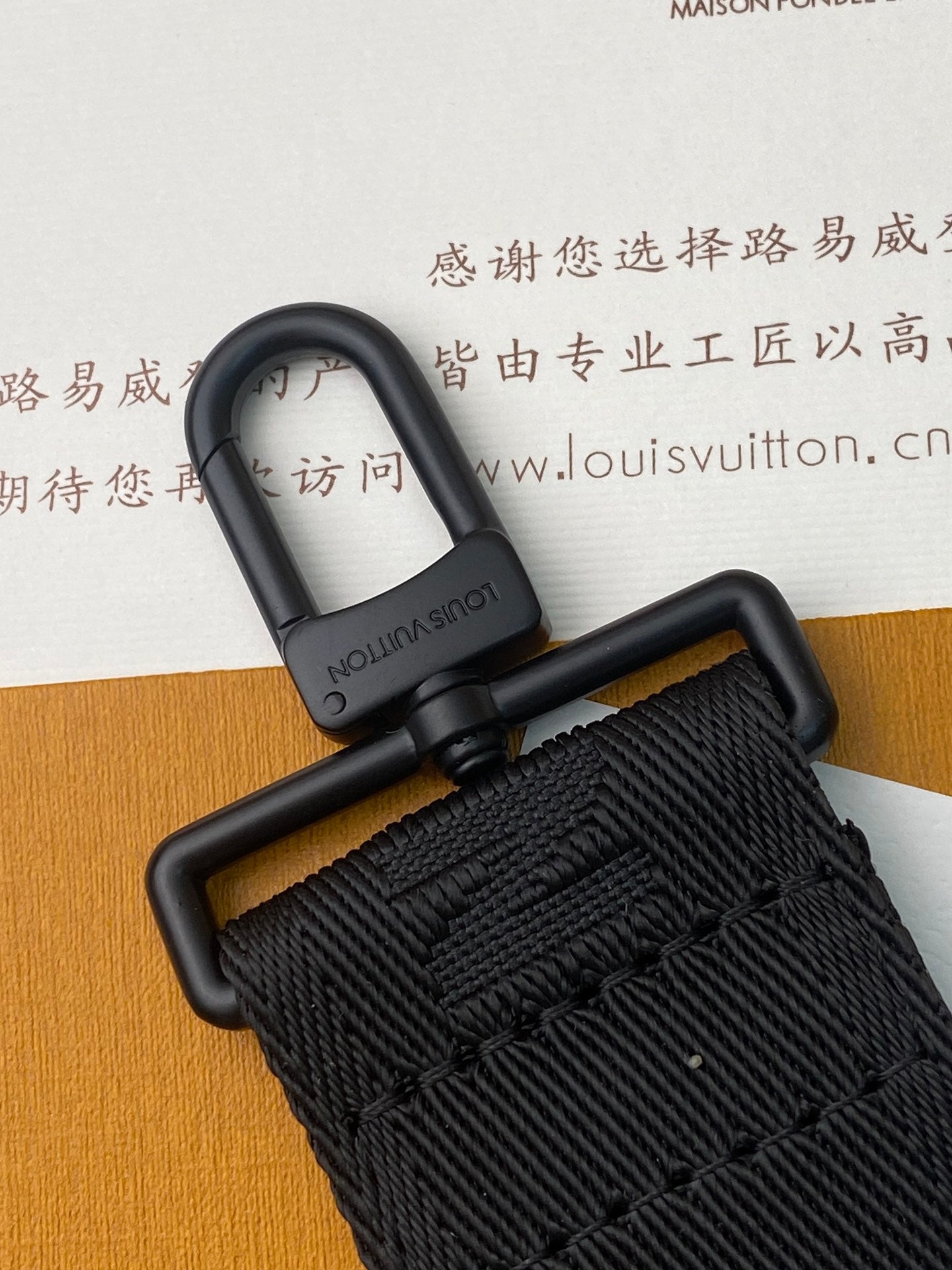 Louis Vuitton Bags