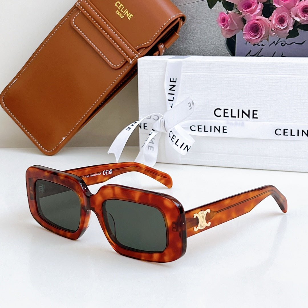 Celine sunglasses, tortoiseshell frame, dark green lenses
