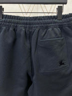 Navy shorts with elastic waistband and front welt pocket