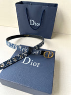 Dior belt with blue logo strap, gold-tone buckle, and adjustable hole setting