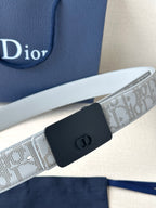 Dior belt close-up: light gray patterned strap with navy buckle