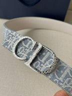 Dior logo belt close-up: blue patterned strap with engraved silver buckle