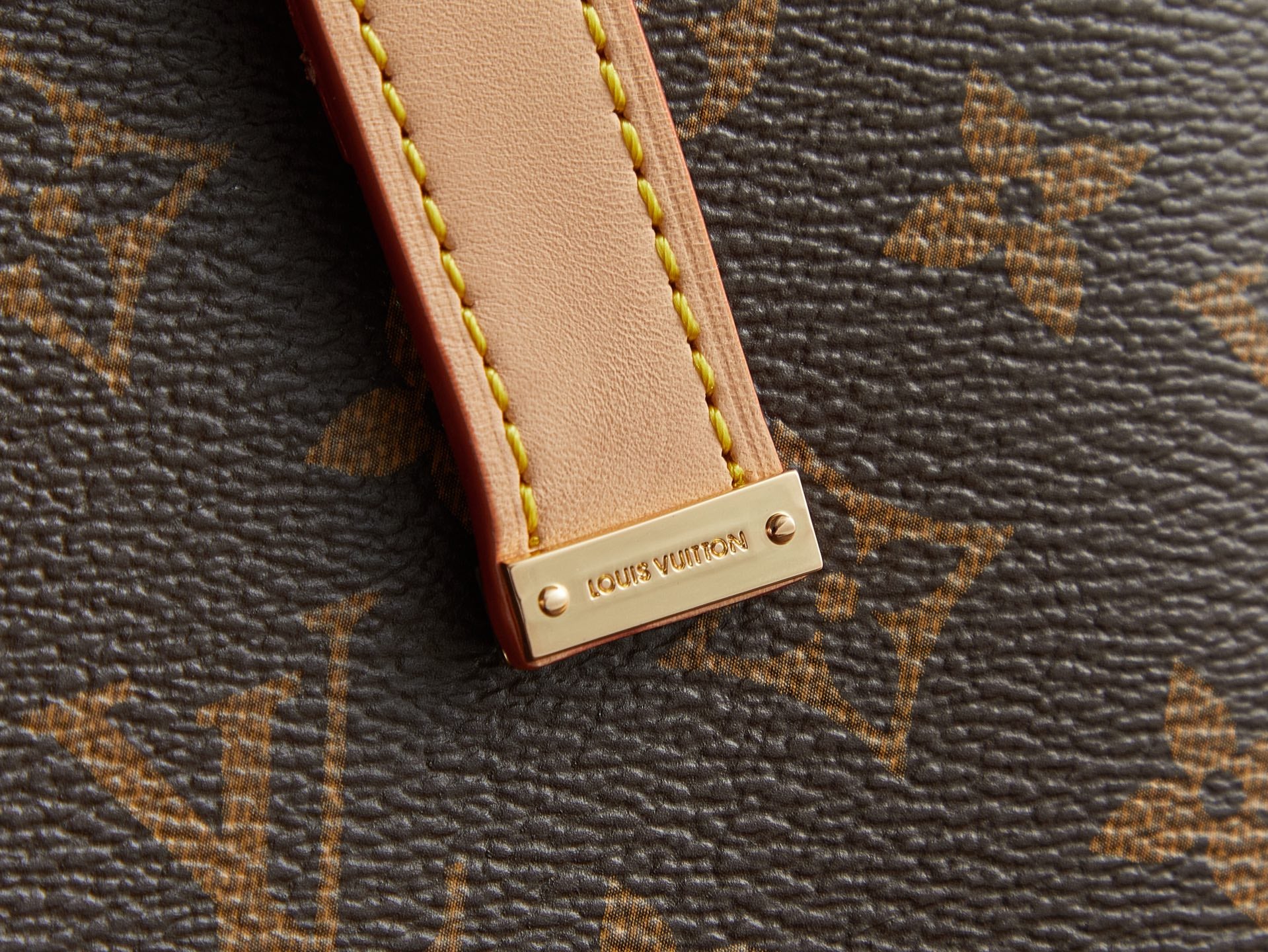 Louis Vuitton Bags
