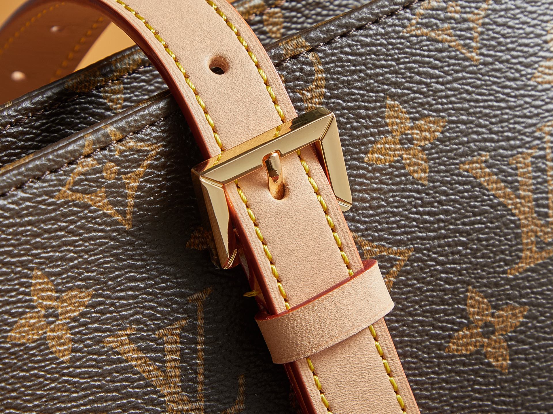 Louis Vuitton Bags