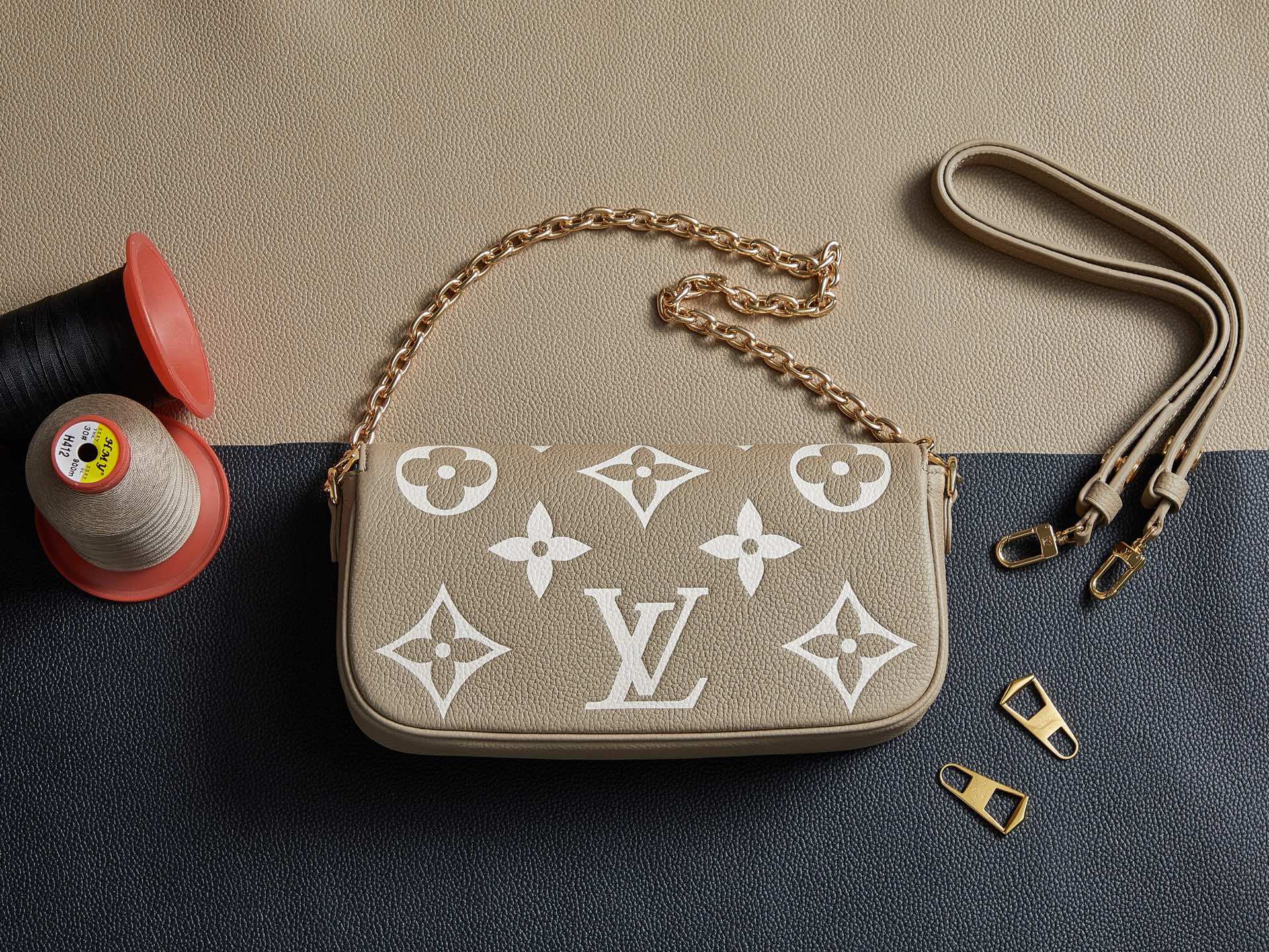 Louis Vuitton Bags