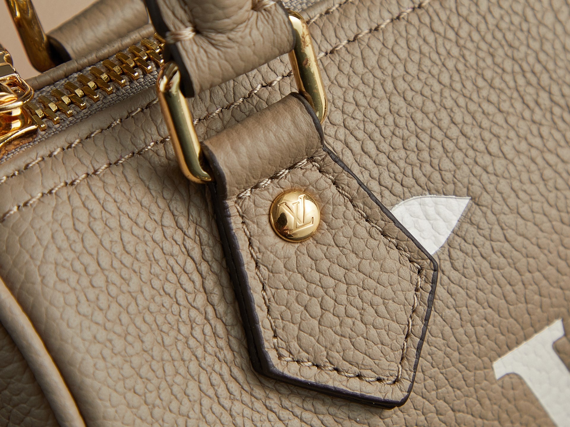 Louis Vuitton Bags