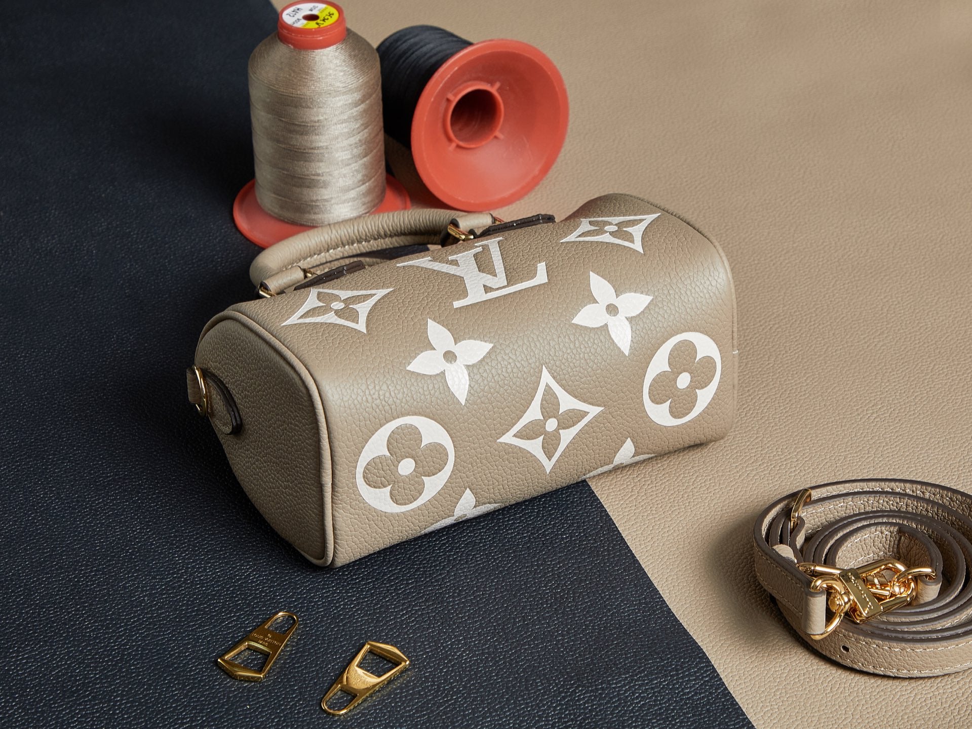Louis Vuitton Bags