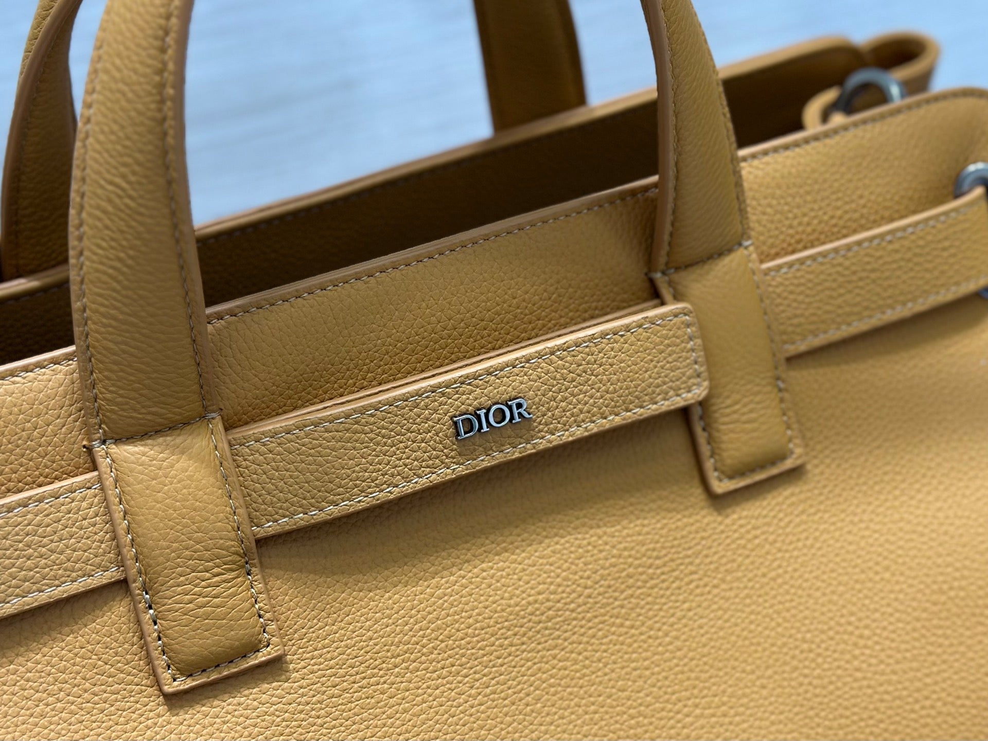 Close-up of tan leather tote front with Dior logo plaque
