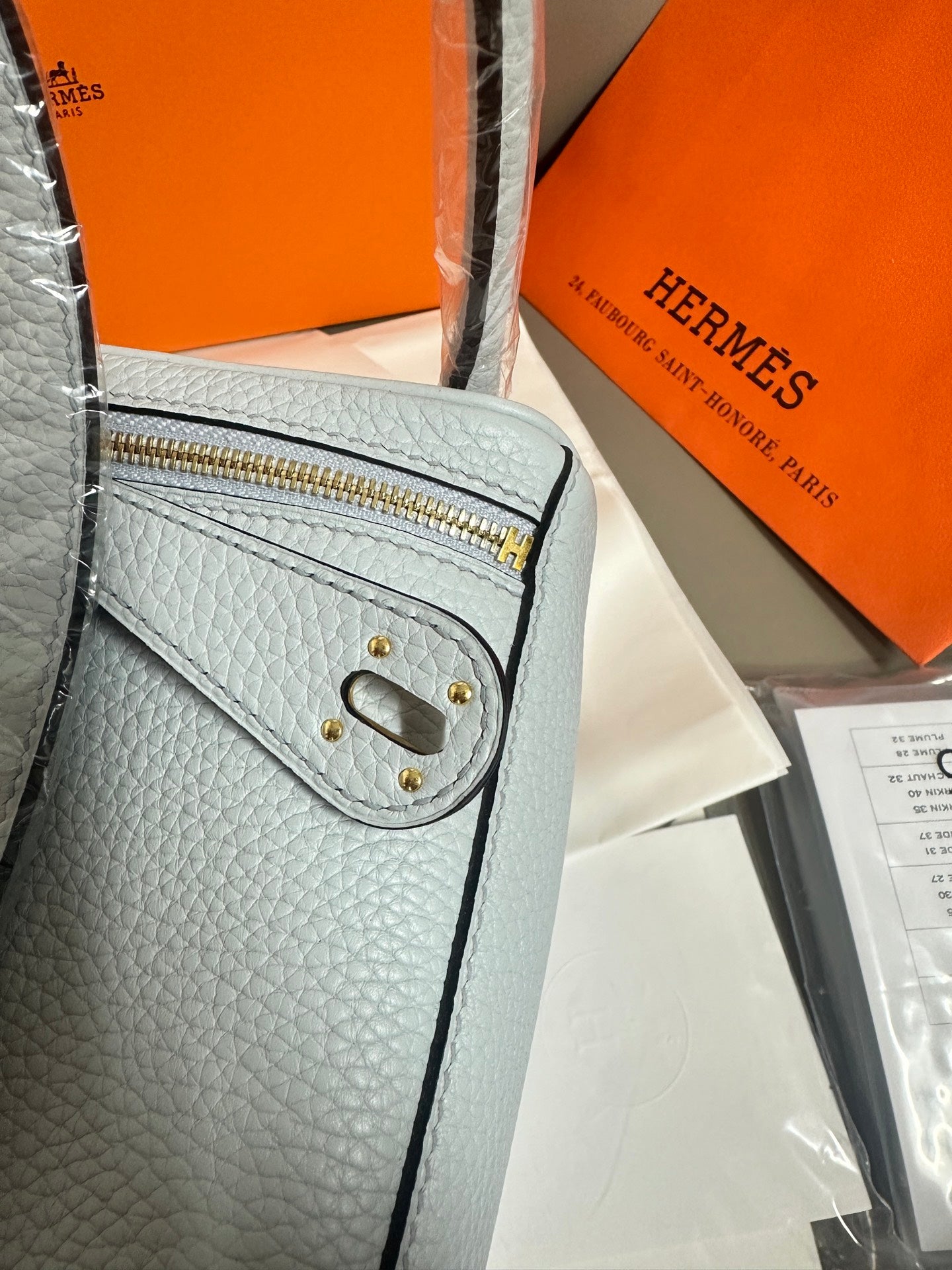 Light blue leather handbag front flap with gold clasp and textured finish.